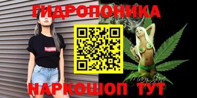 мдпв Обнинск